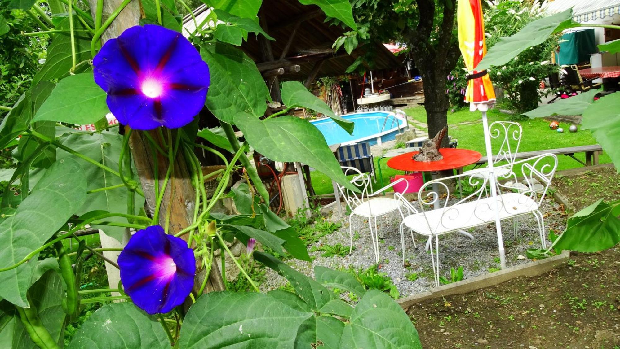 Ferienhaus-Roemerthurm Schoeder Ngoại thất bức ảnh
